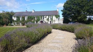 glebe house