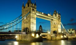 Etiam commodo convallis