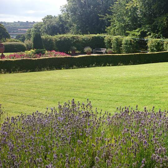 garden3