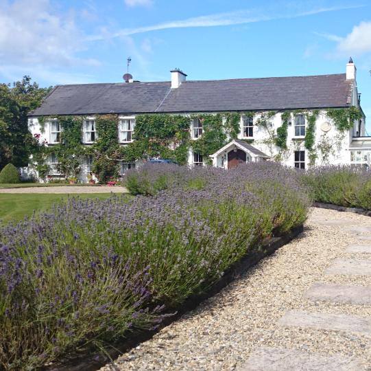 garden4