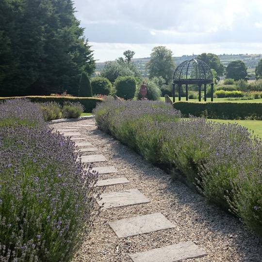 garden5