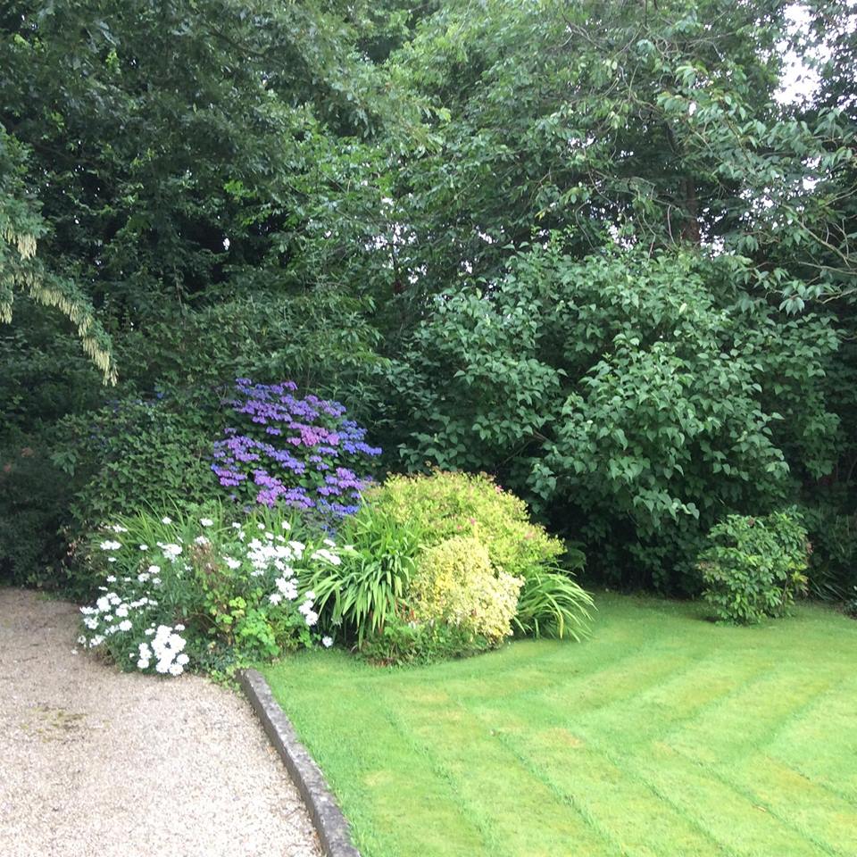 garden7
