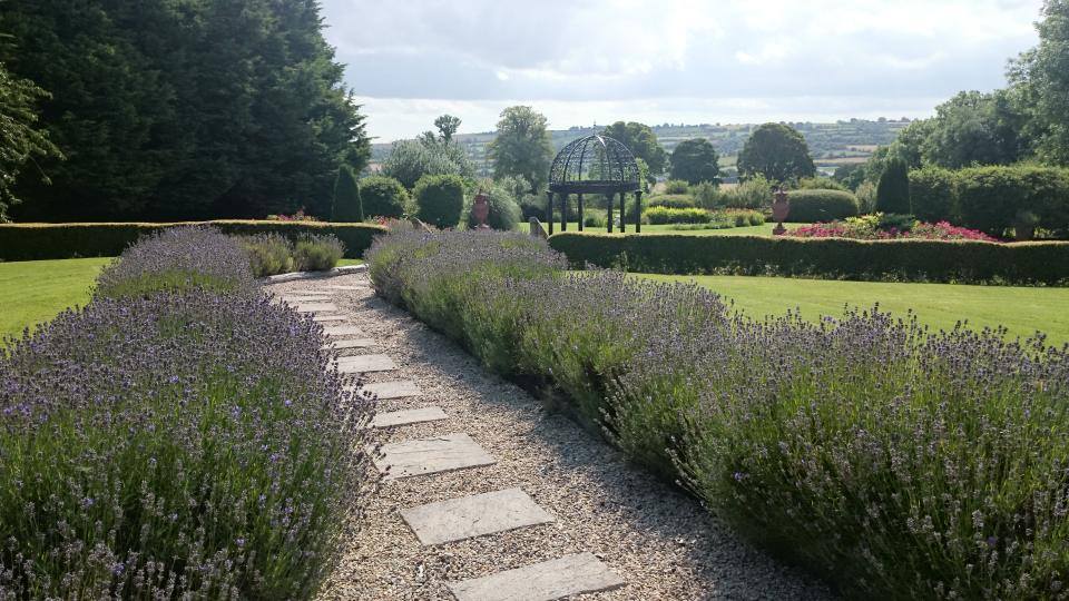 garden8